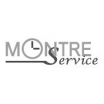 logo Montre service MONTIGNY LE BRETONNEUX