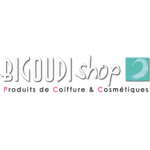 logo Bigoudi shop La Seyne/mer