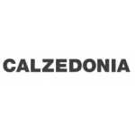 logo Calzedonia BEGLES