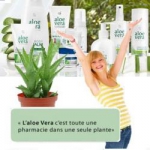 logo Aloé Vera Beauty  - Valérie Saï