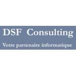 logo DSF Consulting