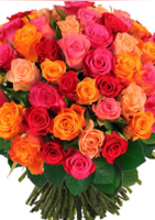30 roses variées pour seulement 29€ - Florajet