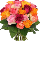 Bouquets de roses multicolores à partir de 22€ - Florajet