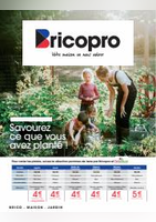 Pommes de terre 2023 - Bricopro