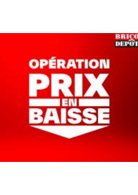 Prospectus Brico Depot ANGERS - BEAUCOUZE : Operation prix en baisse