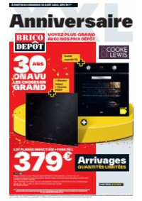 Prospectus Brico Depot MONTCEAU LES MINES : Anniversaire