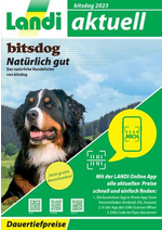 Prospectus Landi : LANDI - bitsdog 2023