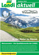 Prospectus Landi : LANDI - Outdoor