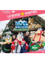 Promos et remises  : CARREFOUR SPECTACLES - LE BOOK DE VOS SORTIES