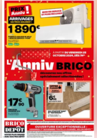 L'ANNIV BRICO découvrez nos offres spécialement sélectionnées ! - Brico Dépôt