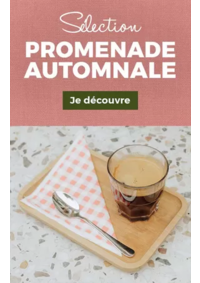 Prospectus Armand Thiery EPERNAY AFF : Sélection Promenade Automnale