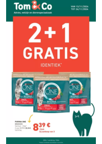 Prospectus Tom&Co Philippeville : 2 + 1 Gratis