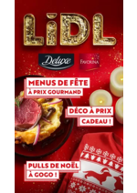 Promos et remises  : Lidl Le Mag de Noël