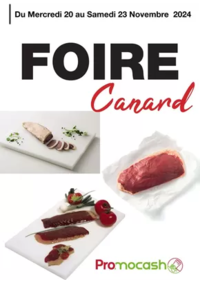 Prospectus Promocash Vesoul : Foire Canard