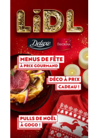 Prospectus Lidl ST HILAIRE DU HARCOUET : Lidl Le Mag de Noël