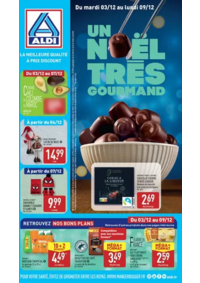 Prospectus Aldi Amendeuix-Oneix : Un Noël trés gourmand