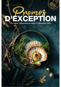 Prospectus Promocash Danjoutin : Promos d'Exception