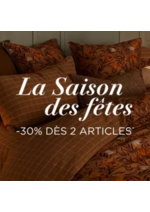 Promos et remises  : La saison des Fêtes