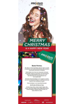 Promos et remises  : Merry Christmas