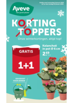 Prospectus AVEVE : Korting Toppers