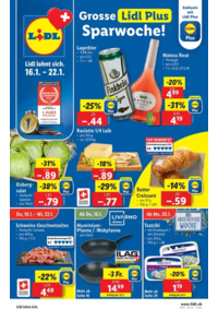 Prospectus Lidl Biasca : Jetzt spare mit üse Deals