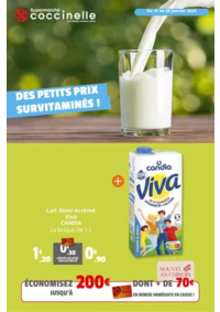 Prospectus Coccinelle Supermarché SOURDEVAL : DES PETITS PRIX SURVITAMINÉS !