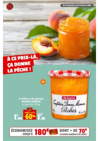 Prospectus Coccinelle Supermarché SONGEONS : À CE PRIX-LÀ, ÇA DONNE LA PÊCHE !