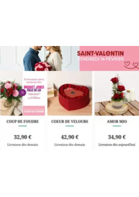 Prospectus Florajet ARGELIERS : Livraison bouquet de fleurs Saint Valentin