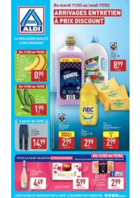 Prospectus Aldi Aubigny-sur-Nère : ARRIVAGES ENTRETIEN À PRIX DISCOUNT