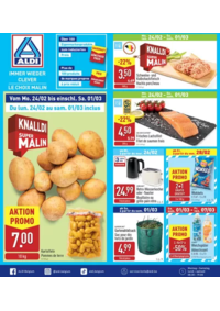 Prospectus Aldi AALST Dendermondsesteenweg : Immer Wieder Clever 24/02