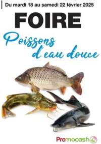 Prospectus Promocash Saint Lo : Foire poissons d'eau douce