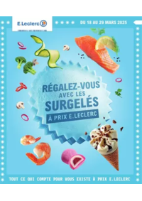 Prospectus E.Leclerc BLOIS : SURGELES - DIGITALE - MIXTE