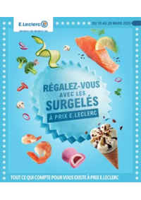 Prospectus E.Leclerc BRUYERES : SURGELES - DIGITALE - MIXTE