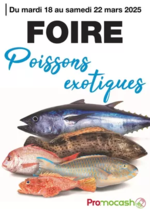 Prospectus Promocash : Foire poissons exotiques