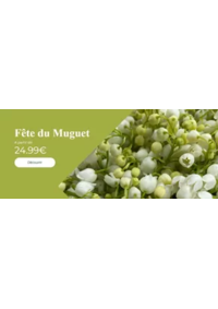 Prospectus Carrément Fleurs EYSINES : Bouquets de muguet pour le 1er mai