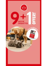 Prospectus Médor et Compagnie Tignieu Jameyzieu : 9 + 1 offert