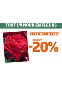 Prospectus Jardiland DRUMETTAZ CLARAFOND : Notre offre végétal spéciale fête des mères