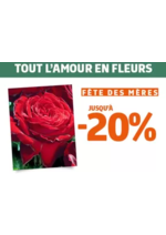 Prospectus Jardiland : Notre offre végétal spéciale fête des mères