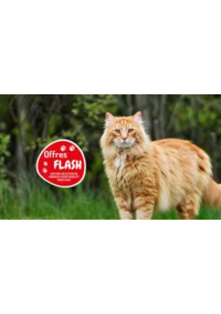 Prospectus Médor & Compagnie Sarrebourg : Les offres FLASH