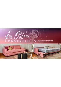 Prospectus Grand Litier SAINT PRIEST : Les offres convertibles