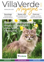 Promos et remises  : Bien les comprendre