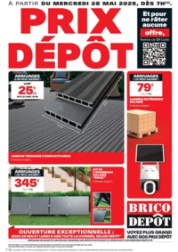 Prospectus Brico Dépôt CARPIQUET : Voyez plus grand avec nos prix dépôt !