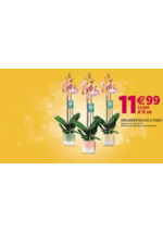 Prospectus  : Les promotions sont là !