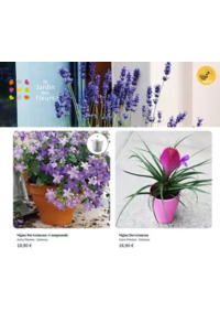 Prospectus Le Jardin des Fleurs COGNAC : Astro Plantes : Gémeau