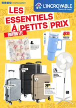 Prospectus L'incroyable : Les essentiels à petits prix
