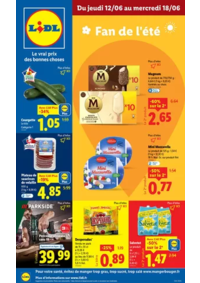 Prospectus Lidl MONTREJEAU : Chez Lidl, profitez de prix réduits sur les produits de votre quotidien !