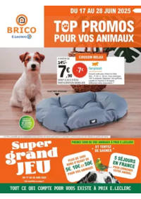 Prospectus Brico E.Leclerc LURE : Trafic Animalerie 6
