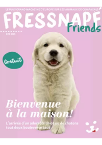 Prospectus Maxi zoo Dechy : Bienvenue à la maison