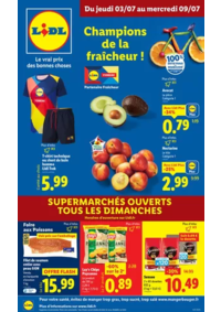 Prospectus Lidl MONTROUGE 74 avenue Marx Dormoy : Faites un max d'économies chez Lidl avec une large sélection de produits en format XXL !