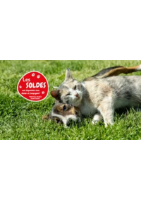 Prospectus Médor et Compagnie Couzeix : Les soldes sont là !!